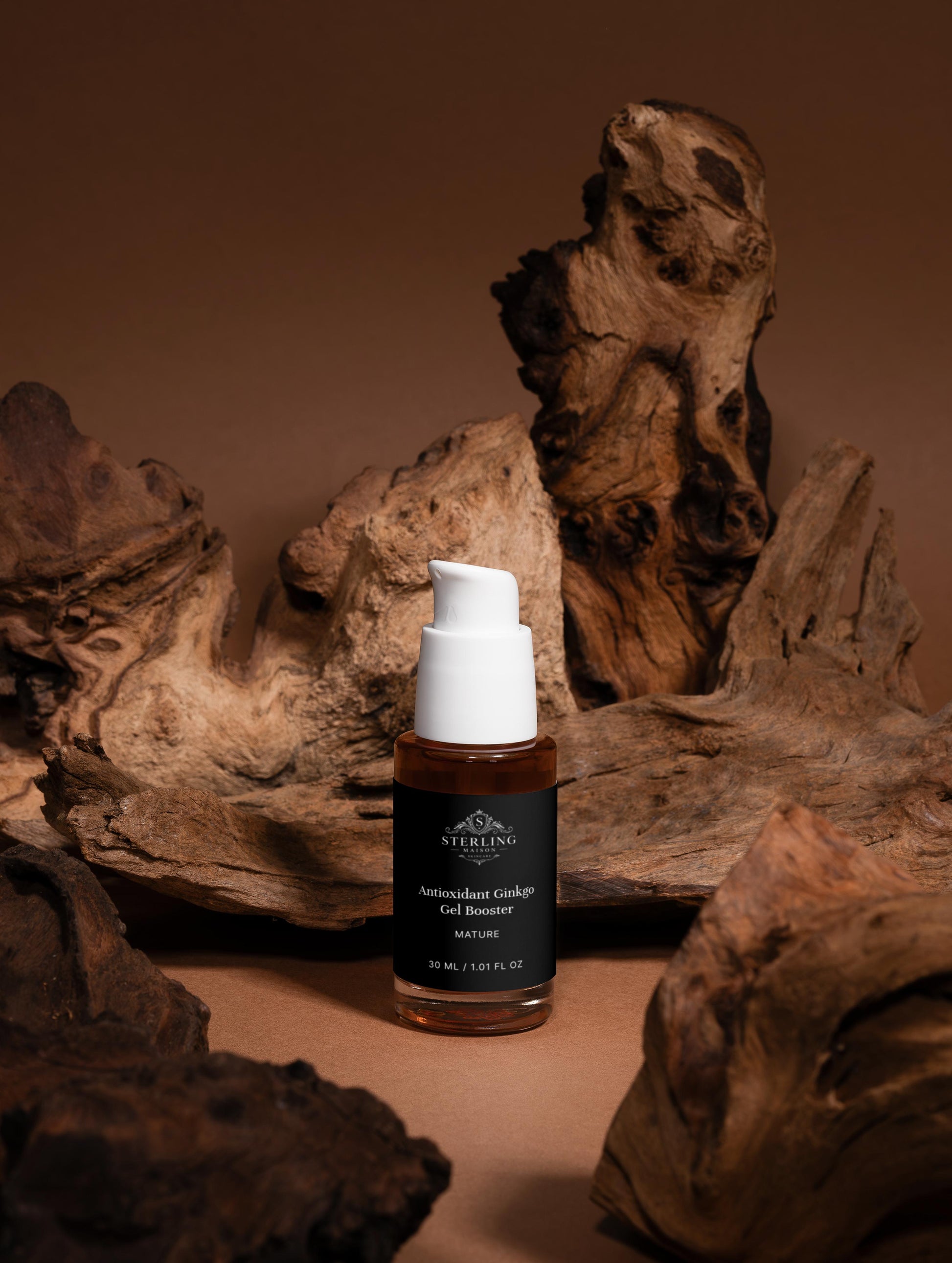 Antioxidant Ginkgo Gel Booster